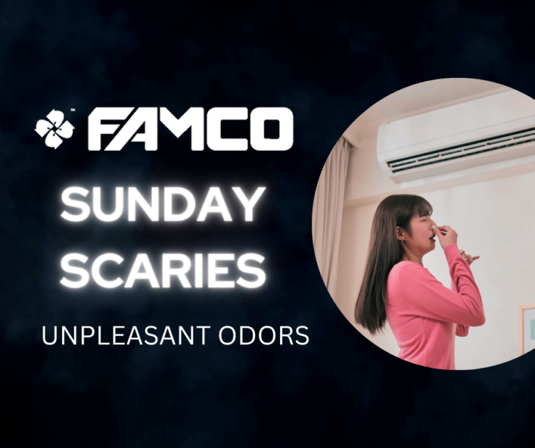FAMCO Sunday Scaries unpleasant odors graphic with a woman pinching her nose near an air conditioner.