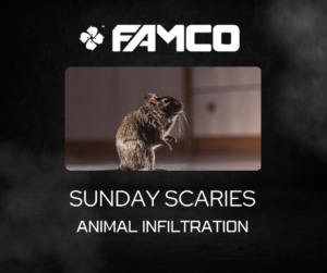 FAMCO Sunday Scaries campaign focusing on animal infiltration, showing a rodent inside a home.